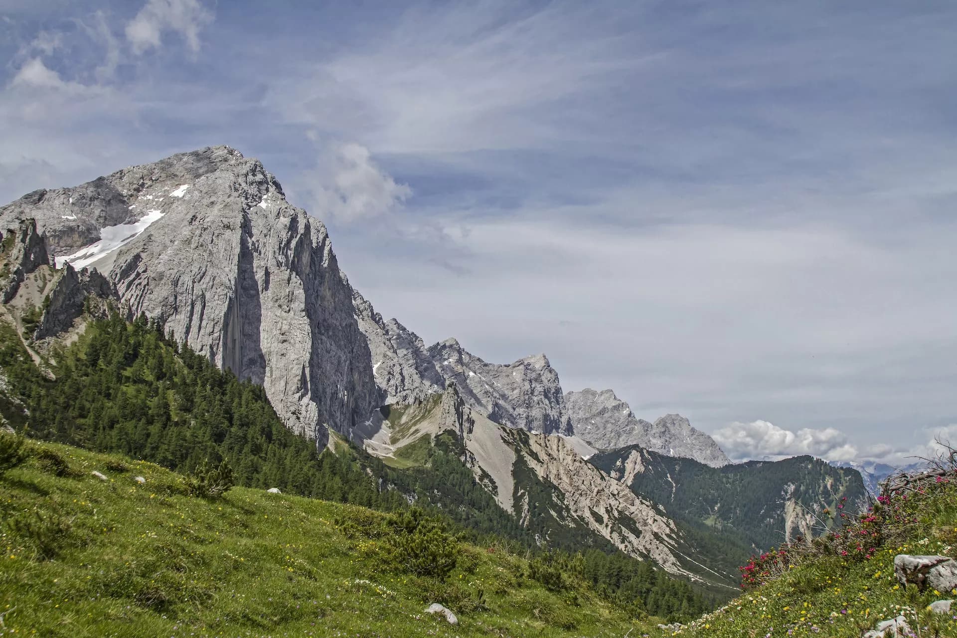 Alpine meadow with wildflowers below massive gray limestone mountains and scattered clouds