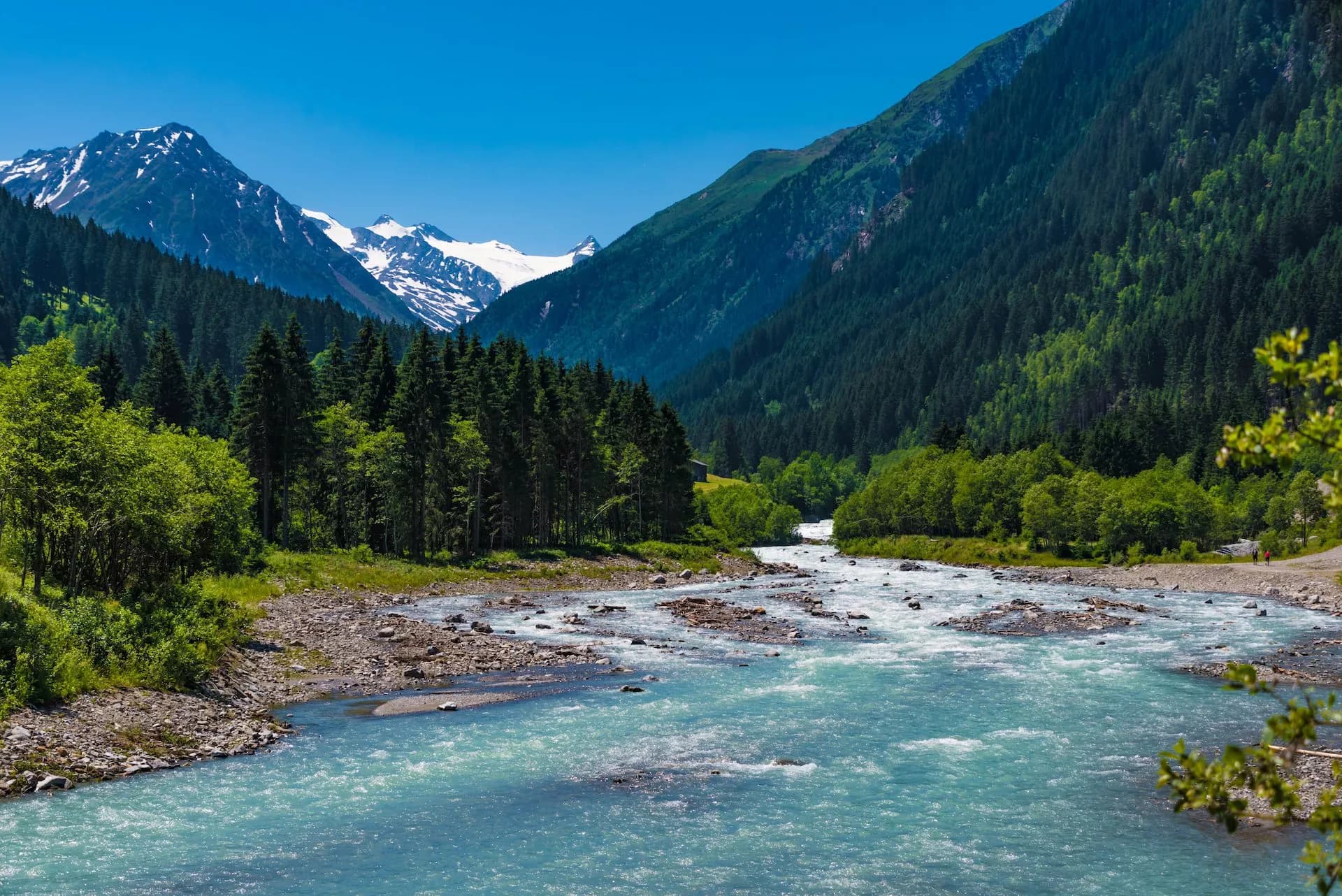 Rushing turquoise river in a valley with pine forests and snow-capped mountains under a blue sky.